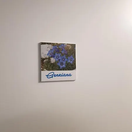Genziana 아파트